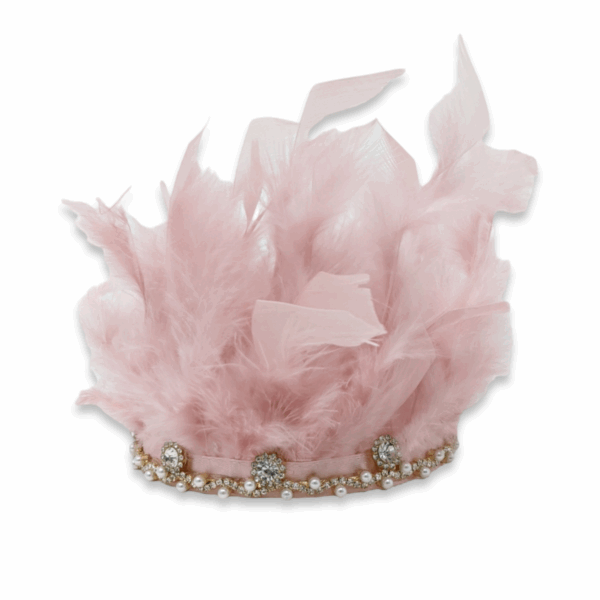 PhotoRoom-20230218_101152